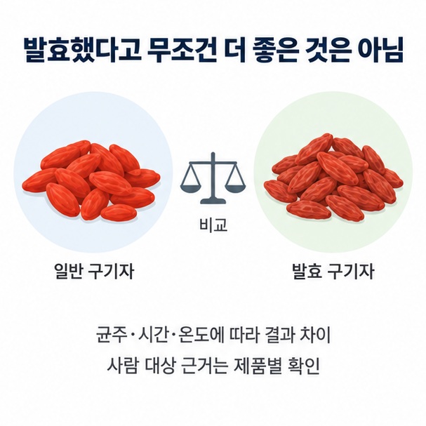 발효 구기자가 일반 구기자보다 무조건 효과가 큰 것은 아니며 제품별 사람 대상 근거를 확인해야 함을 표현한 이미지