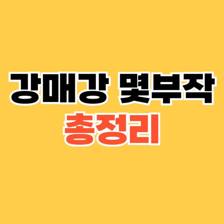 강매강 몇부작
