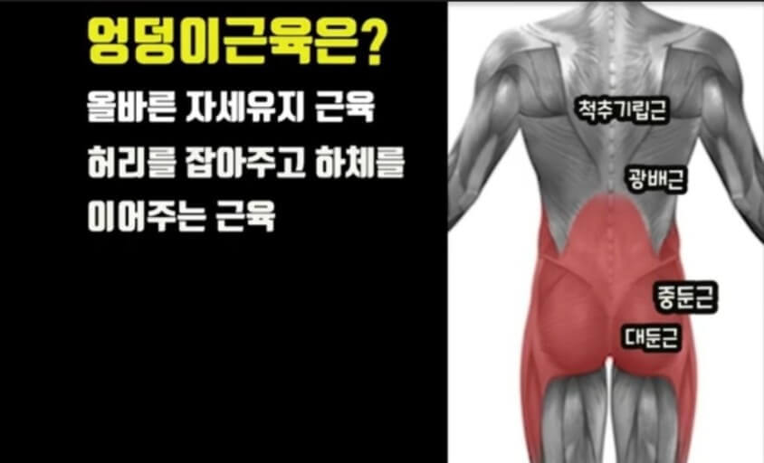 코어근육 모양
