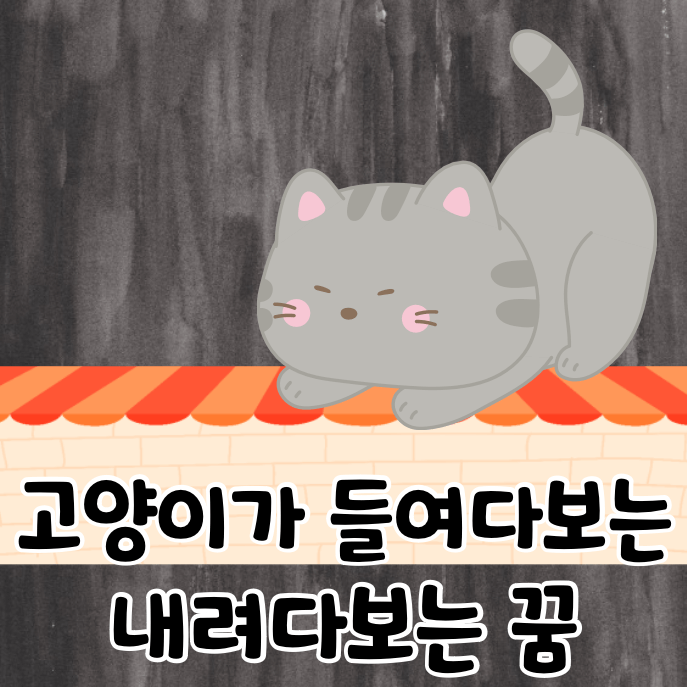 지붕 위 고양이