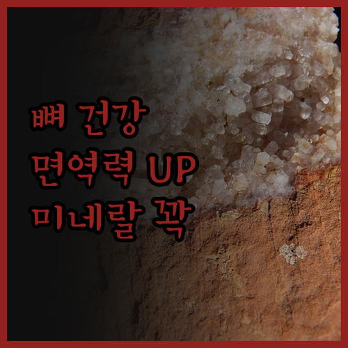 뼈 건강, 면역력 UP! 노년 필수