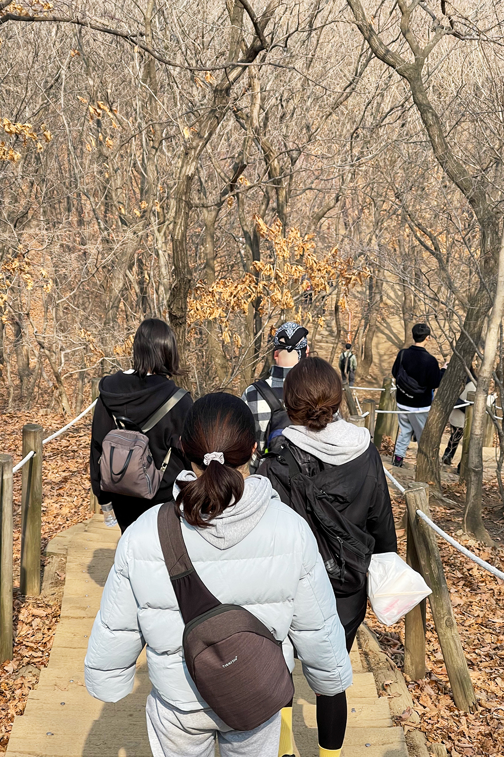 청계산 하산하는 팀 버브