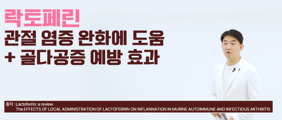 락토페린 효능