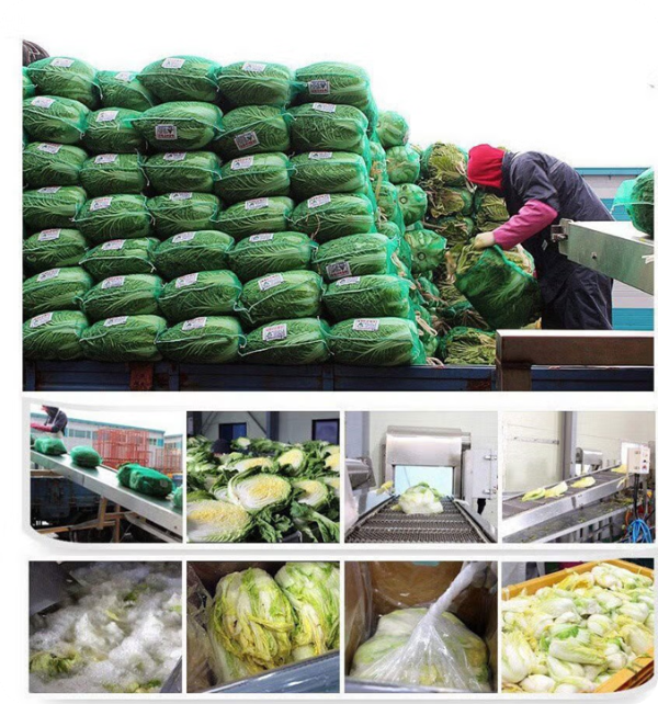 강원도 (절임)배추 이미지/ 출처: 이마트몰 SSG홈페이지