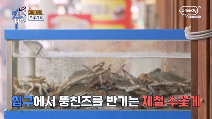 활꽃게