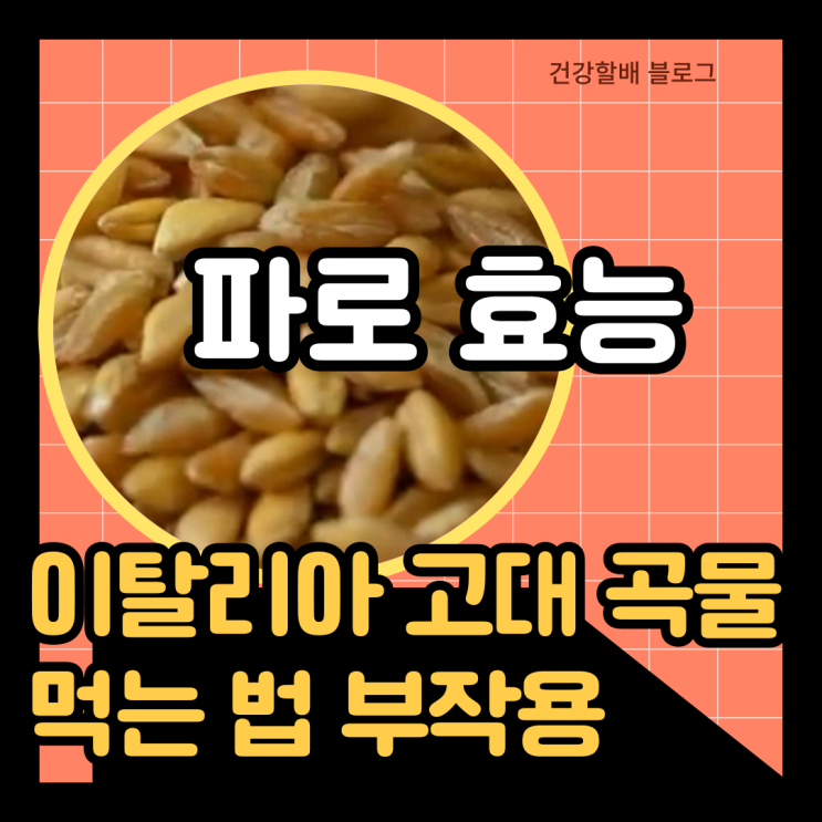 파로-효능