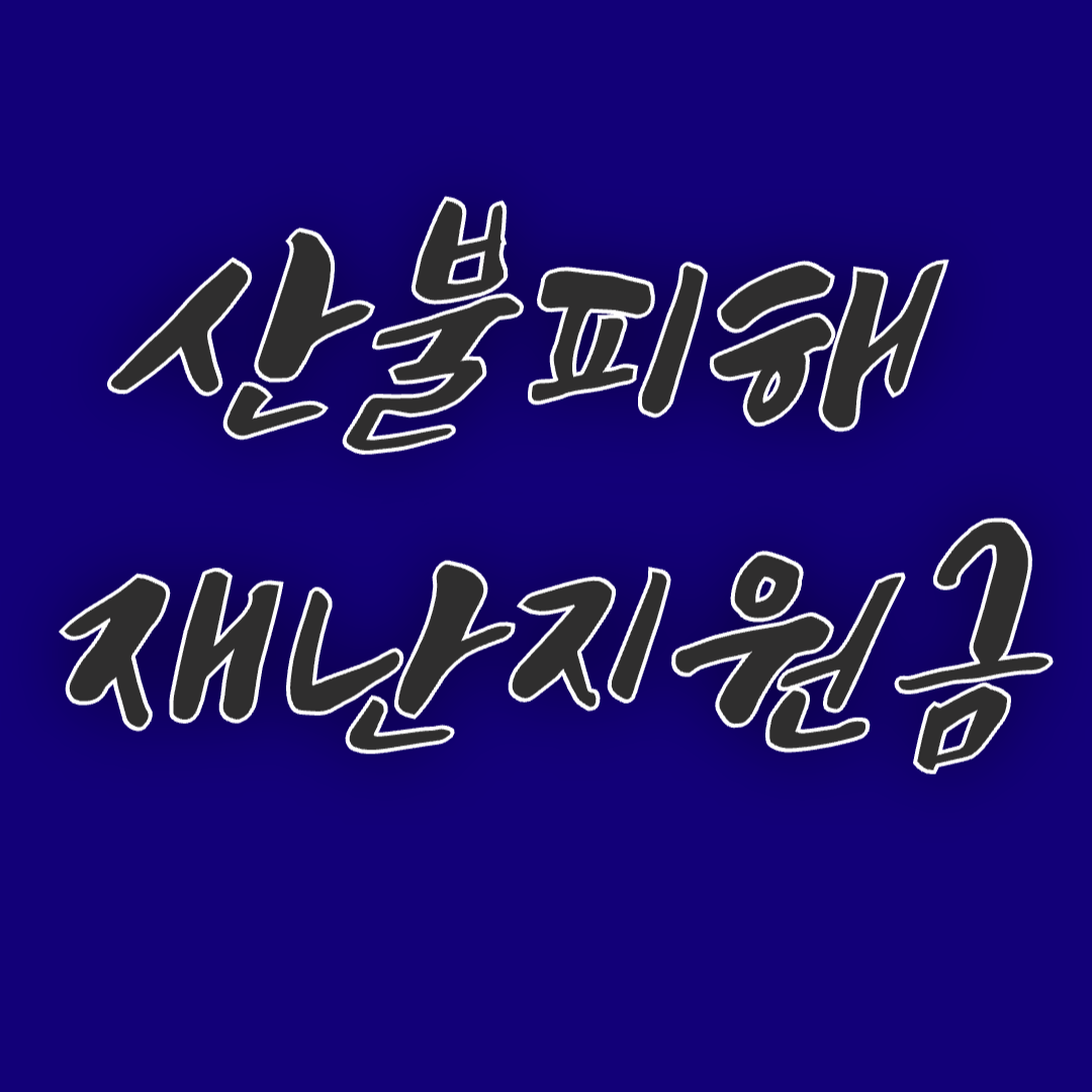 [2025 산불피해 재난지원금] 신청방법부터 대상자 기준까지 한눈에 정리