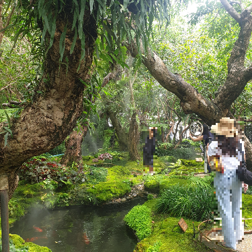 치앙마이 카페 투어 ⑤ : 인생샷을 찍을 수 있는 뷰 맛집 (Chom Cafe and Restaurant) _우거진 나무와 물 그리고 물 분사