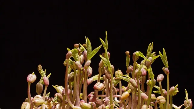 콩나물국 맛있게 끓이는 법에 대한 집밥레시피_5