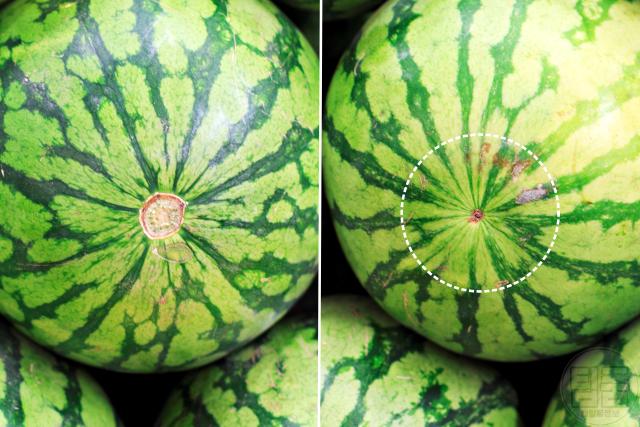 수박 맛있는거 고르기,수박 고르는 요령,팁줌