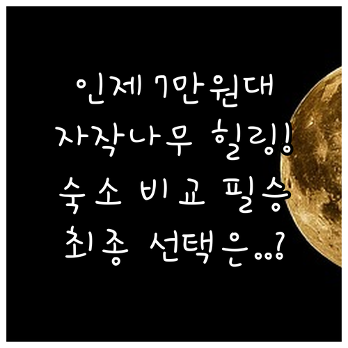 인제 숙소 비교 분석 자작나무숲 힐링..