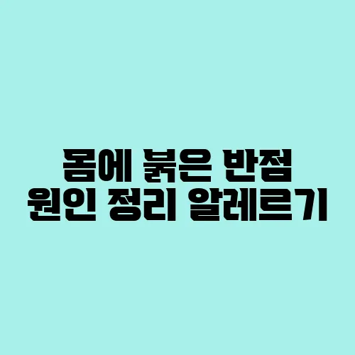 몸에 붉은 반점 원인 정리 알레르기, 감염 등 가능성 다양