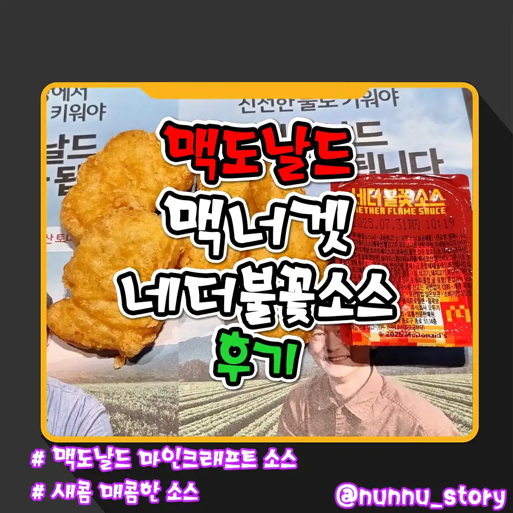 맥도날드 네더불꽃소스 후기