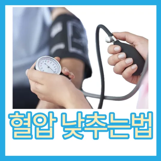 혈압 낮추는법 혈압 낮추는 식품 운동 고혈압에 좋은 음식