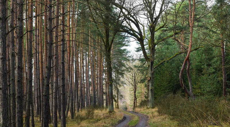 외벽 보수공사 업체 선정 방법