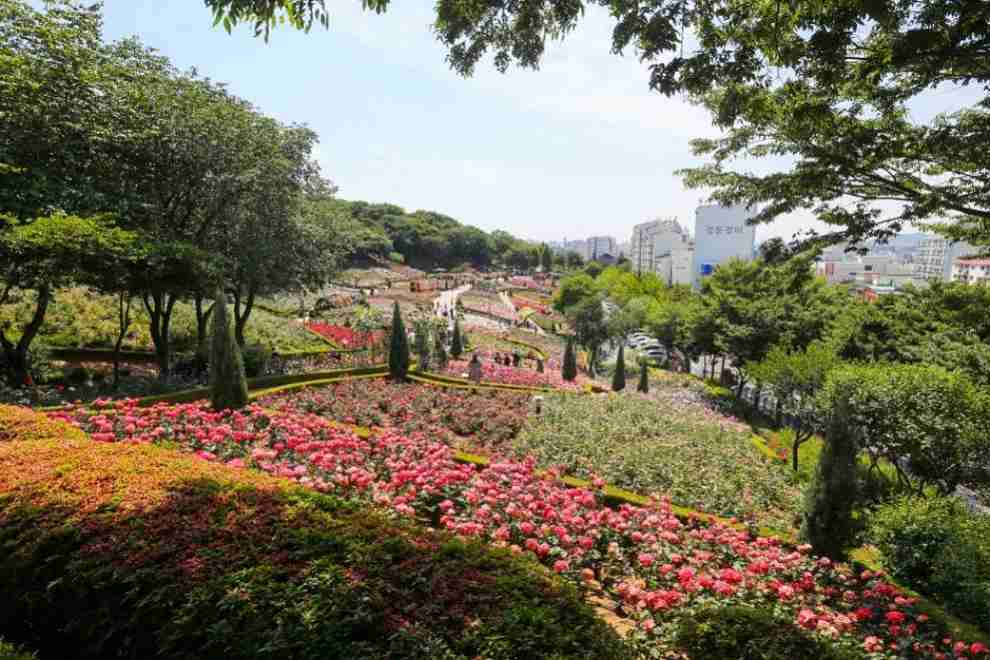 부천 백만 송이 장미축제