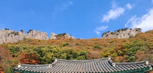 내장산-단풍축제-서래봉