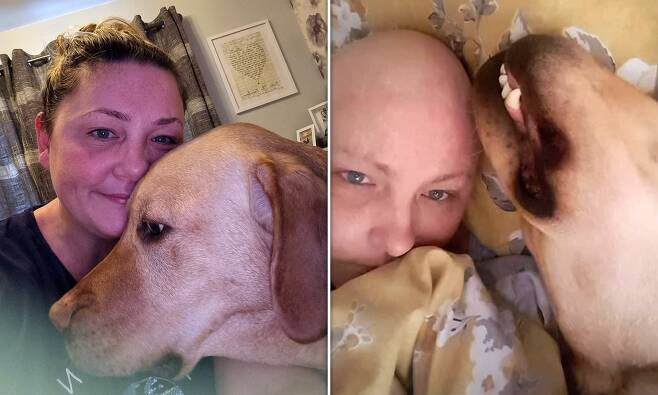 반려견 리트리버 덕에 조기에 암을 발견한 영국 여성