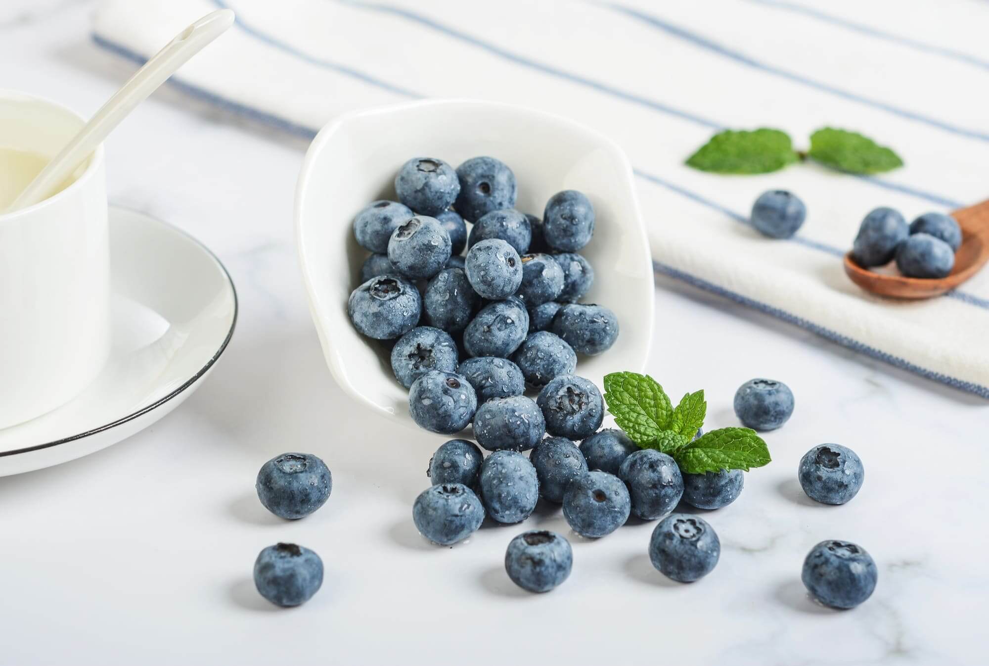 화이트 접시에 담긴 냉동 블루베리와 민트 잎&amp;#44; 요거트와 함께한 헬시푸드