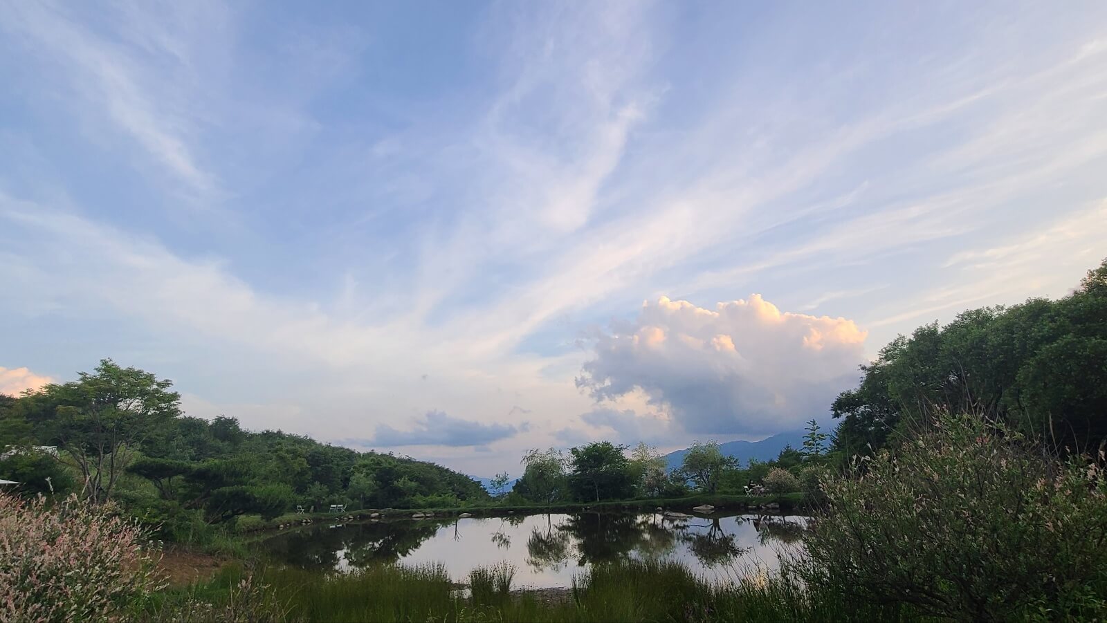 목장11