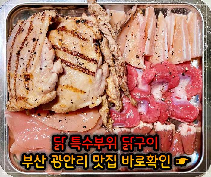 모닝 투데이 부산 광안리 닭고기 모둠구이 맛집