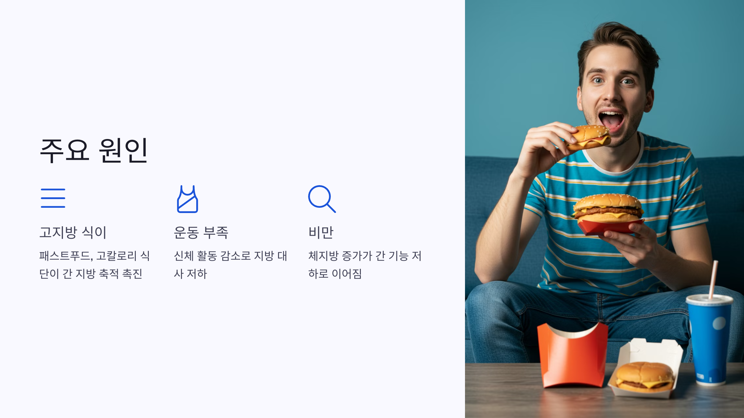 비알코올성 지방간 주요 원인