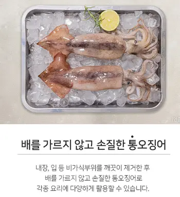 은쟁반 얼음위에 잘 씻은 생오징어 두마리