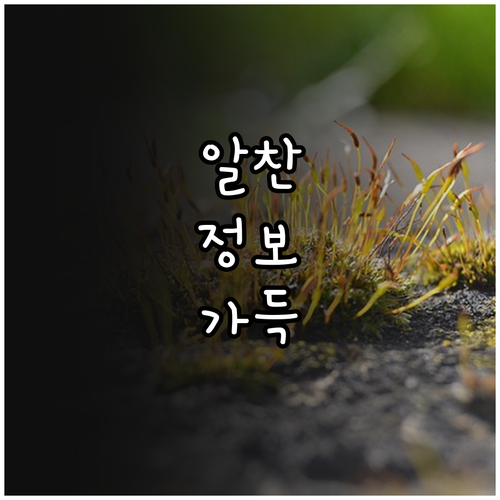 보성군 2025년 백내장 수술비 지원..