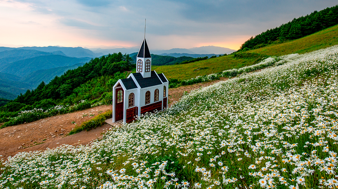 청옥산-육백마지기