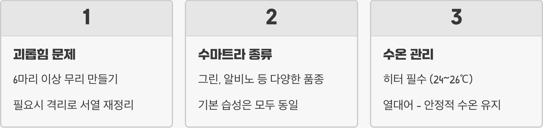 수마트라 키우기 A to Z (어항, 먹이, 수질 관리)