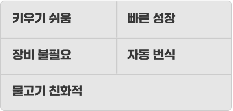 그래서, 이 녹색 커튼이 정답인 이유