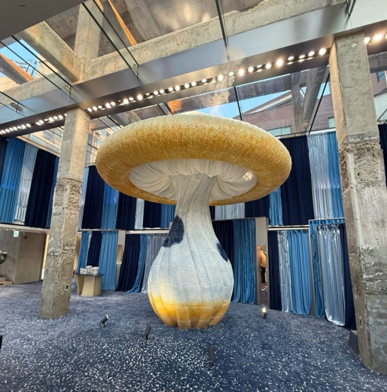 탬버린즈 성수 플래그십 스토어