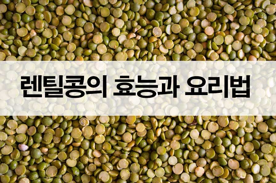 렌틸콩의 효능과 요리법