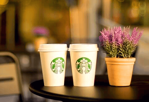 탁자 위에 스타벅스 마크가 새겨진 종이컵 두 개가 놓여있고 오른쪽에는 보라색 꽃이 심어진 화분이 있다.