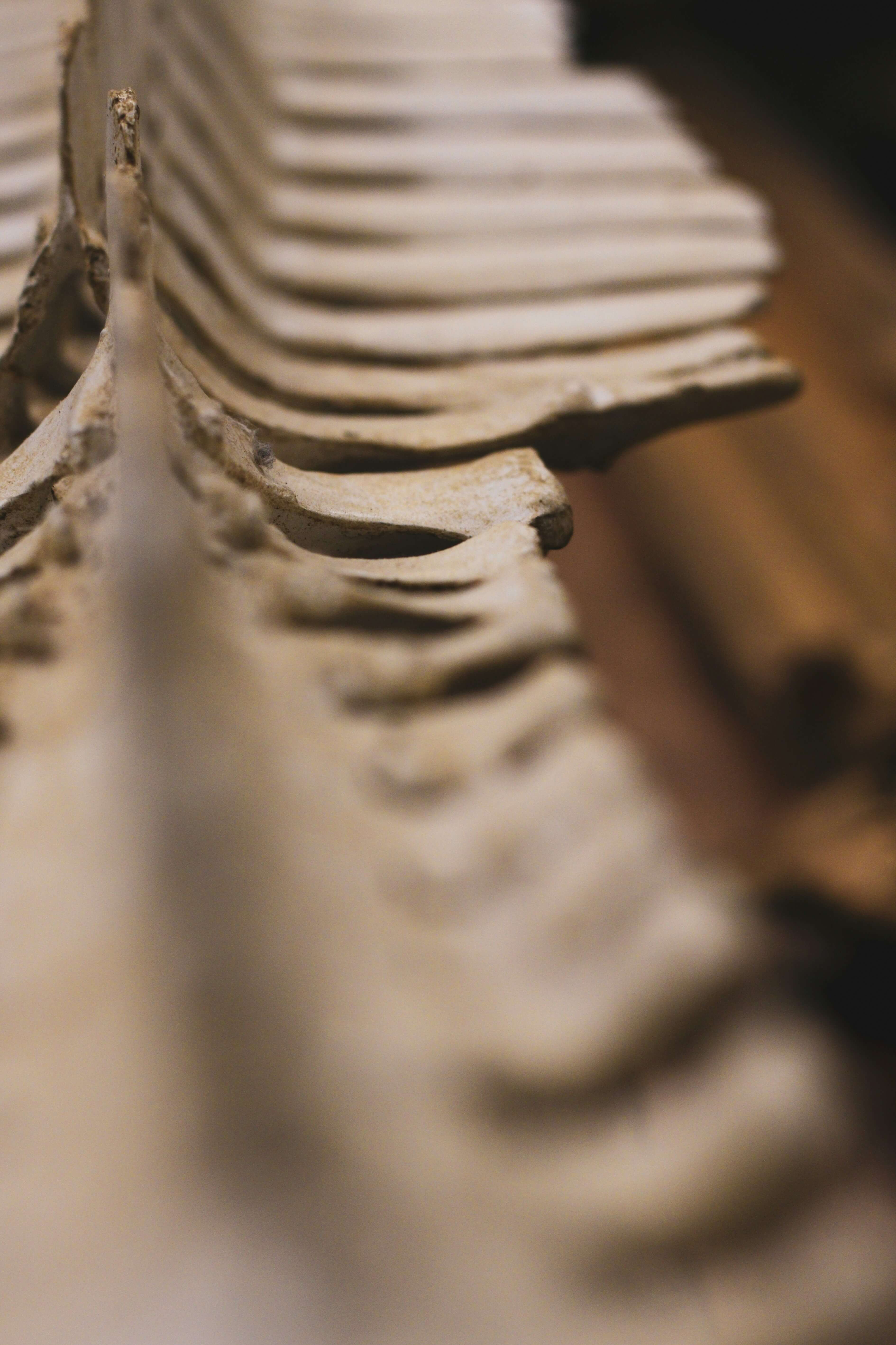 허리디스크에 좋은 운동