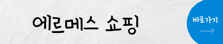 에르메스 가방 추천