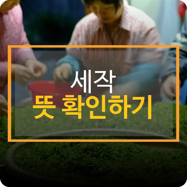 세작 뜻