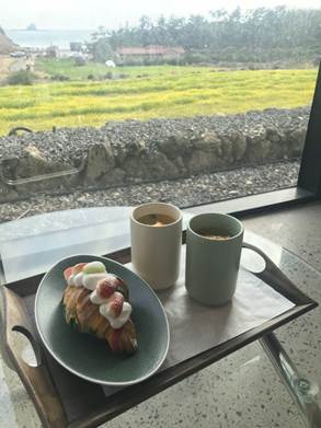 용머리해안 유채꽃