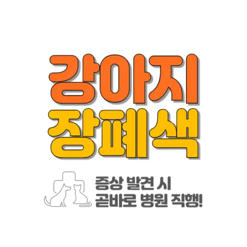 강아지 장폐색 썸네일