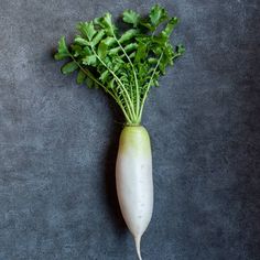 장염에 좋은 음식 먹어도 되는 음식 급성장염과 만성장염 차이