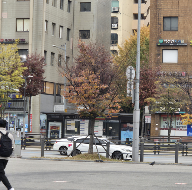 와이프 외도 복수