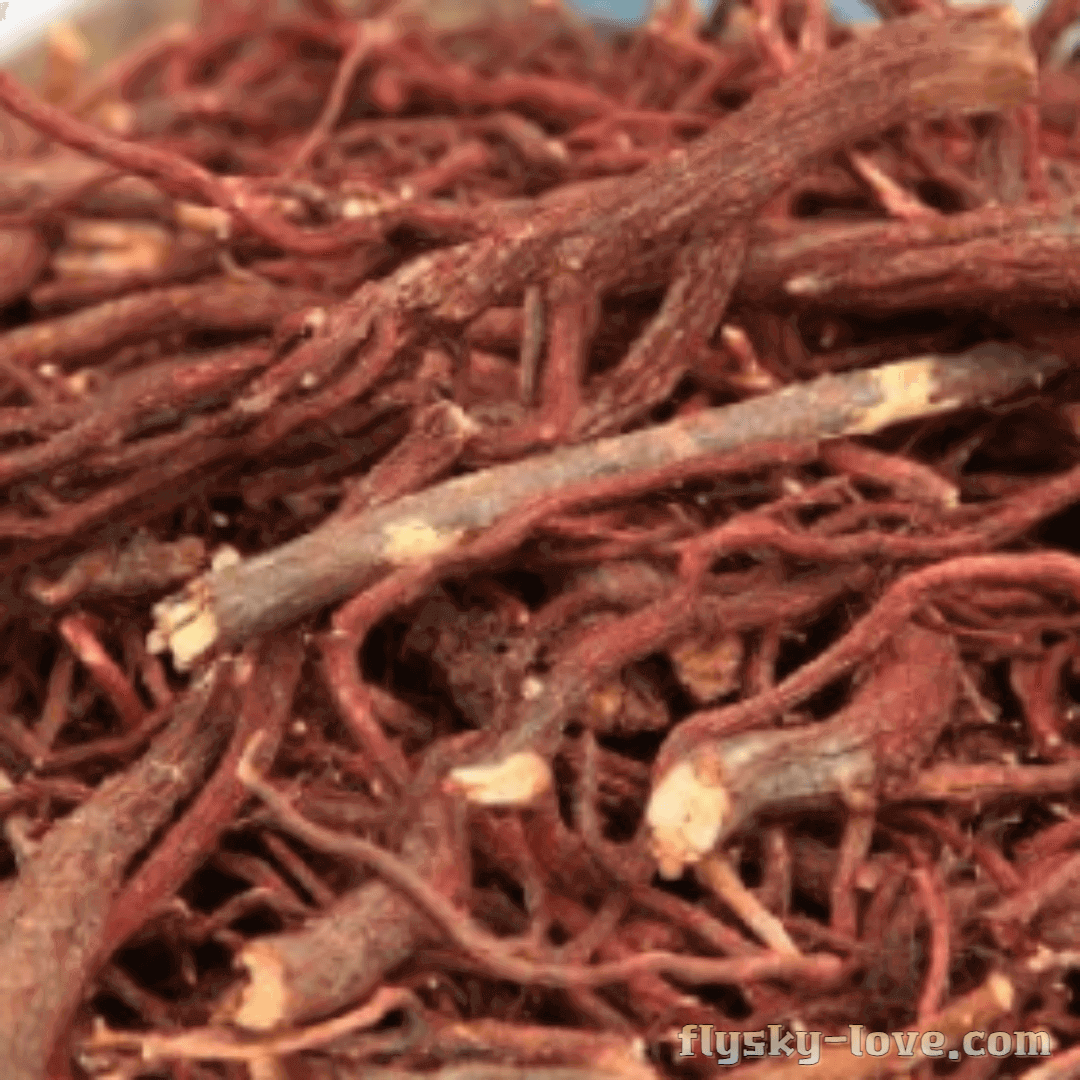 자초 먹는 방법