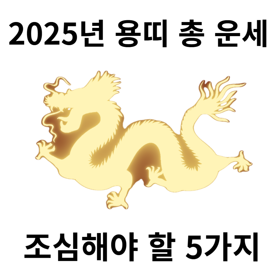 용띠 운세