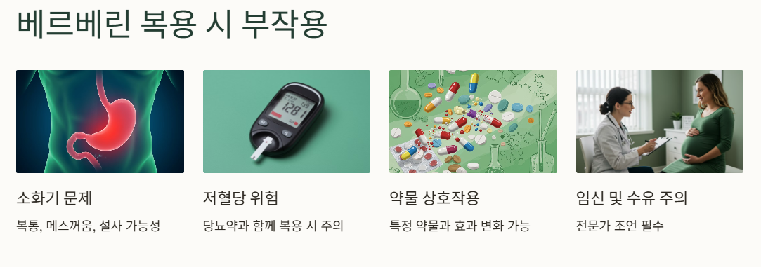 베르베린 복용 시 부작용