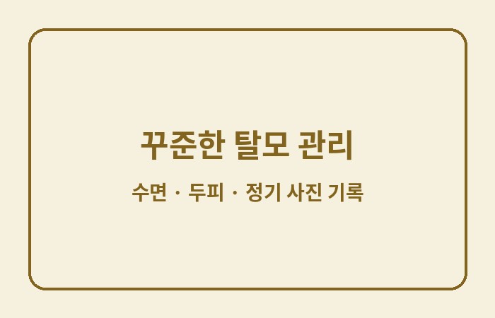 탈모치료제 추천