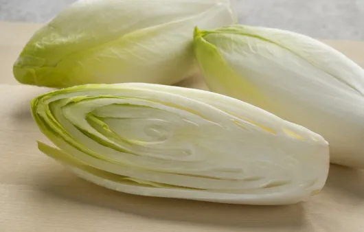 엔다이브 재배 상토 선정 배수 통풍 연속 수확_5