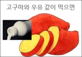 고구마와 우유 같이 먹으면