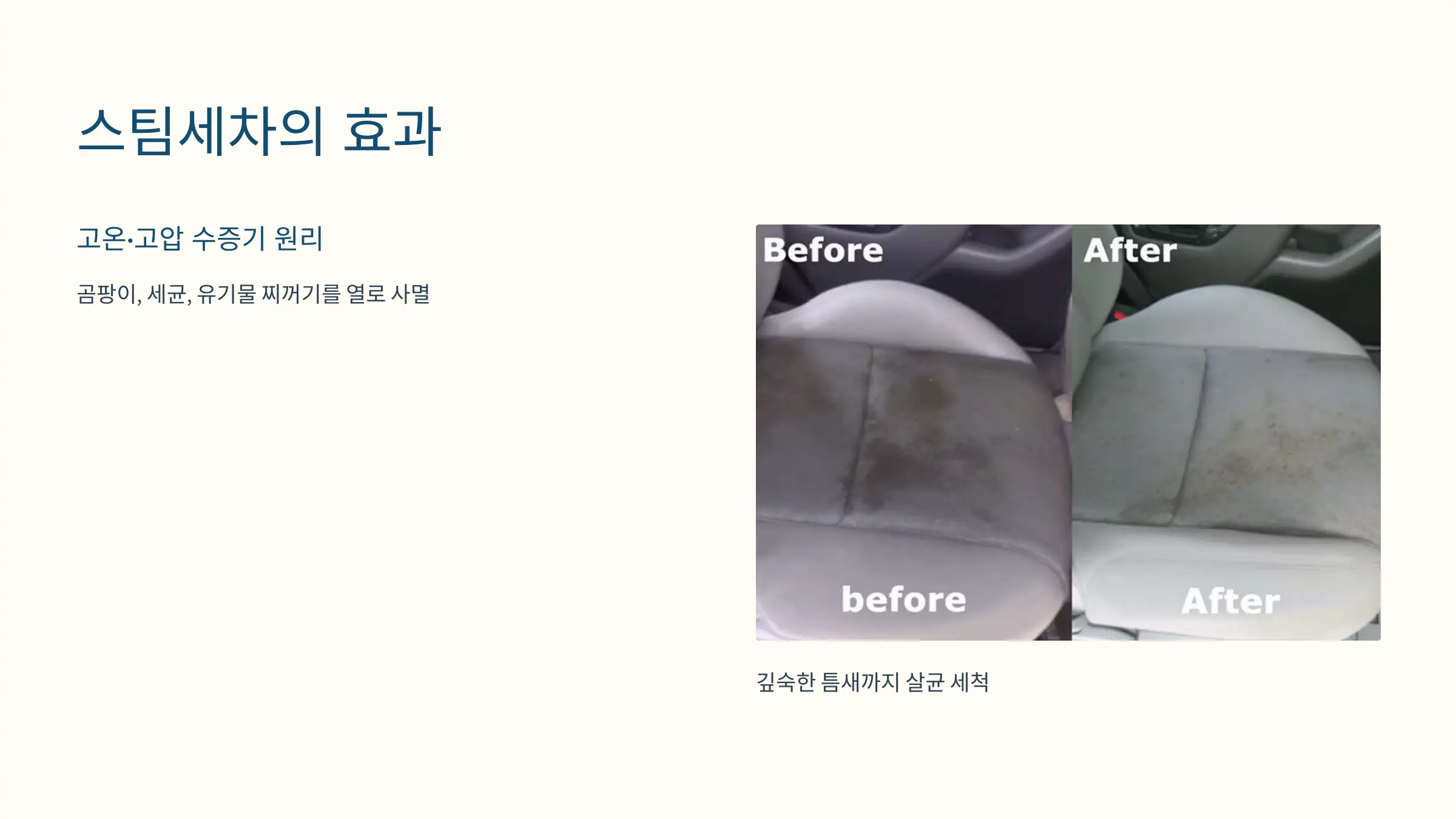 스팀세차가 효과적인 이유