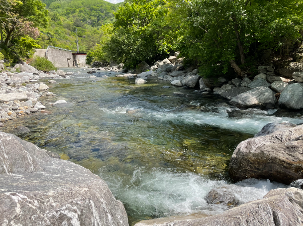 경기-가평-왕소나무-유원지-사진-입니다.