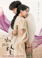 드라마 낮에뜨는달